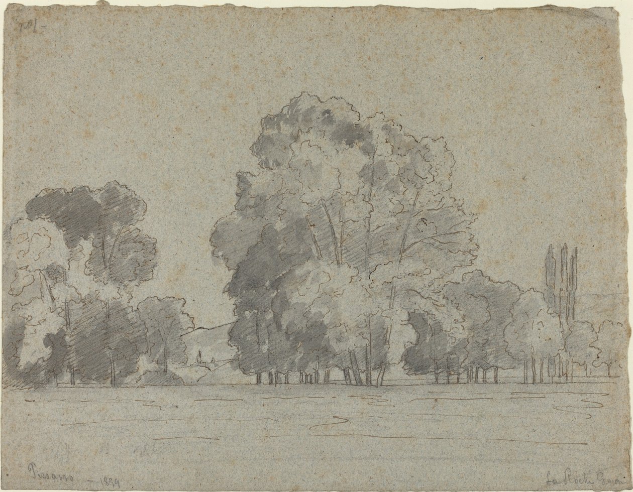 Gaj Drzew, 1859. autorstwa Camille Pissarro
