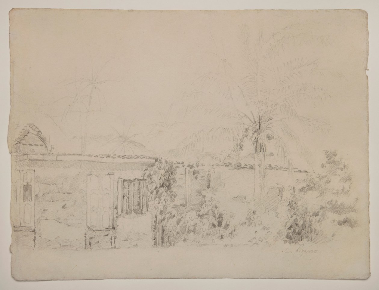 Domy i palmy autorstwa Camille Pissarro