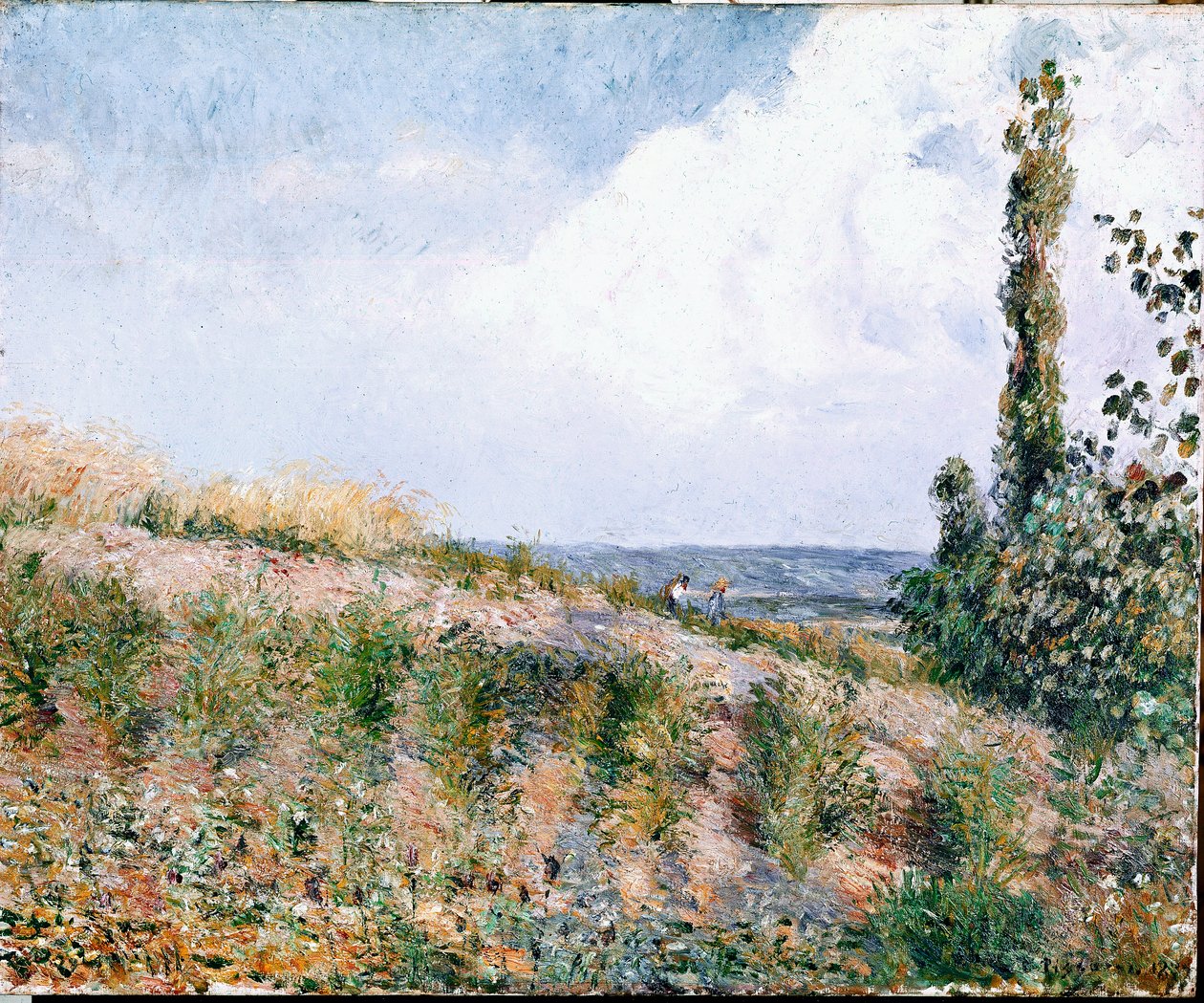Pejzaż (olej na płótnie) autorstwa Camille Jacob Pissarro