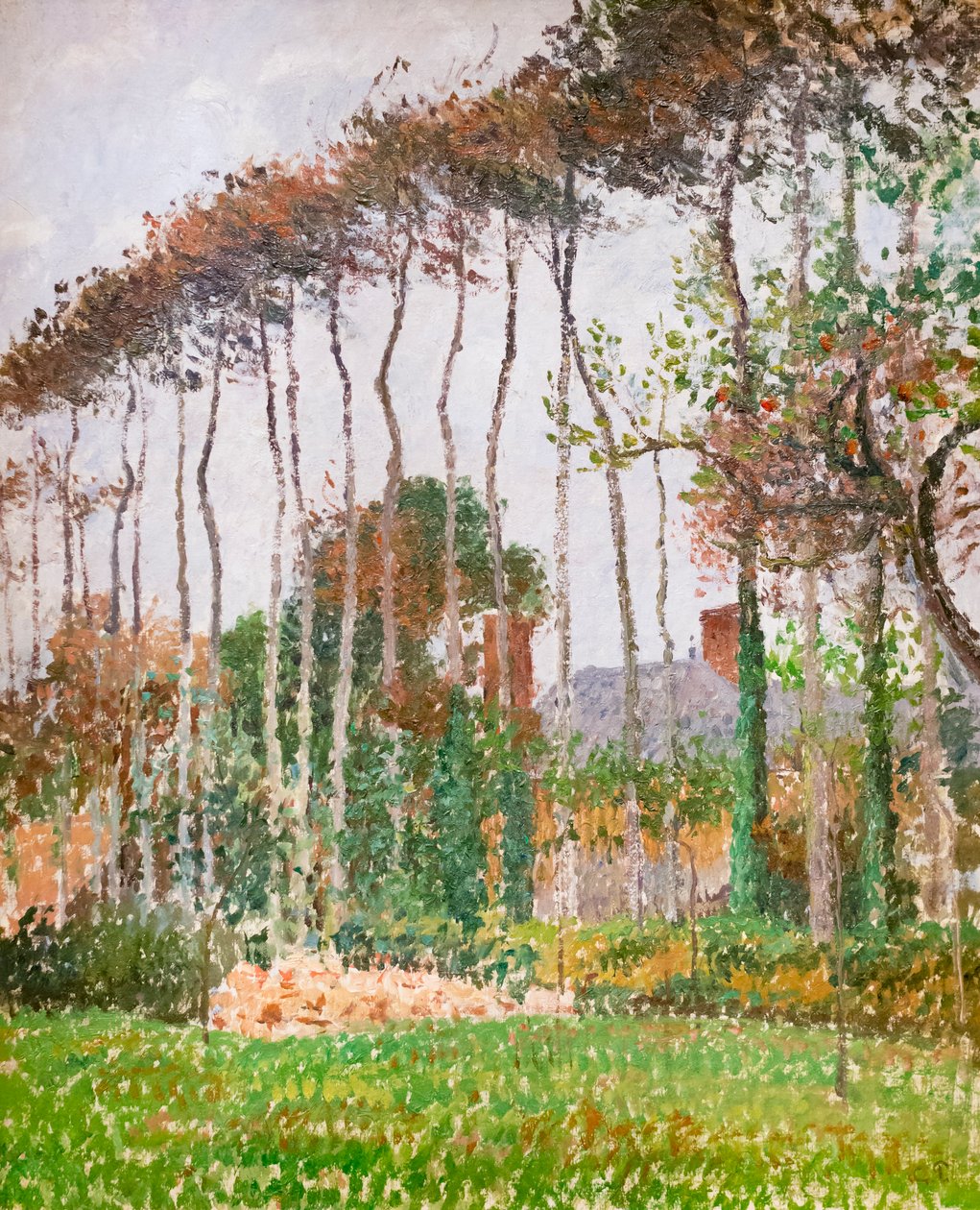 Krajobraz w Varengeville, ok. 1889 (olej na płótnie) autorstwa Camille Pissarro
