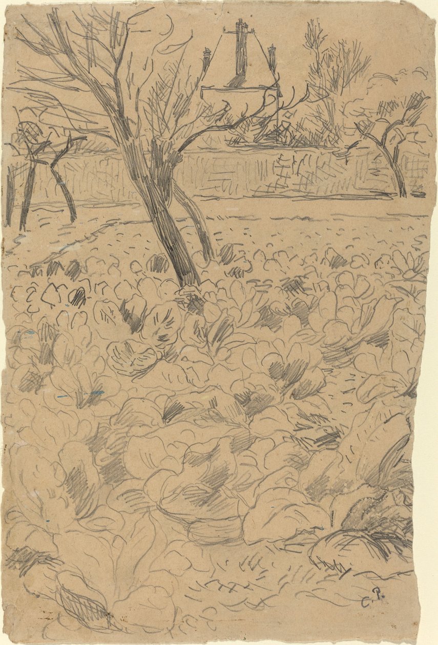 Pole Kapusty, ok. 1930 r. 1880. autorstwa Camille Pissarro