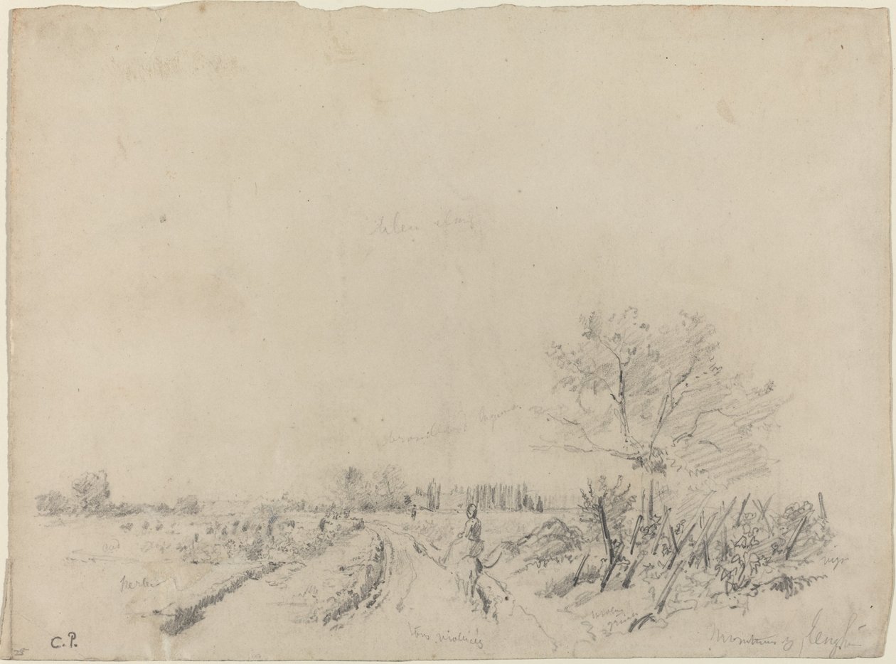 Droga Montmorency, ok. godz. 18501860. autorstwa Camille Pissarro