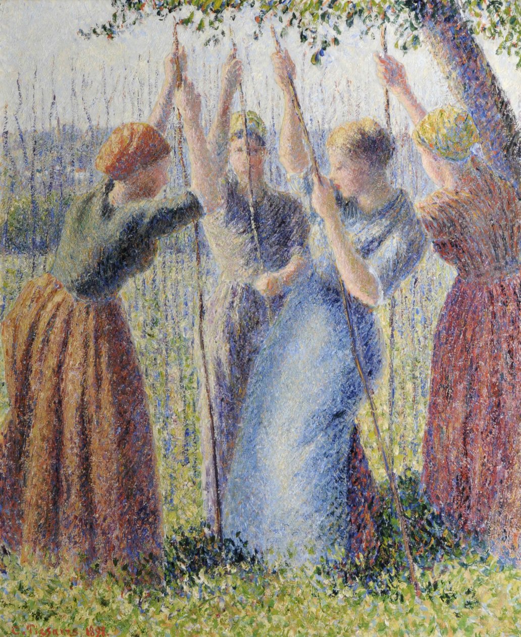 Wieśniaczki sadzące rammy autorstwa Camille Pissarro