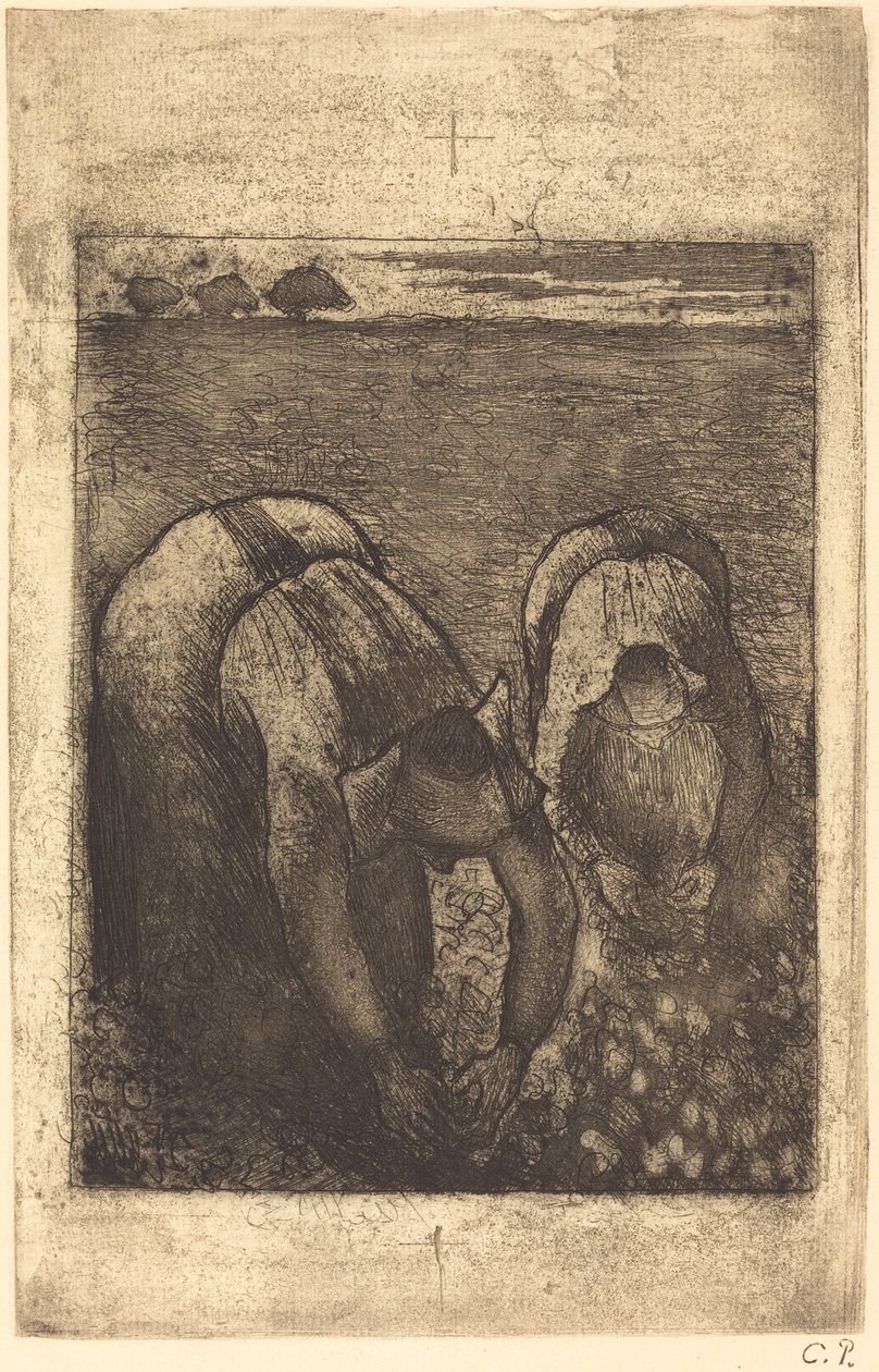 Chłopi na polu fasoli Chłopi na polu fasoli, 1891. autorstwa Camille Pissarro
