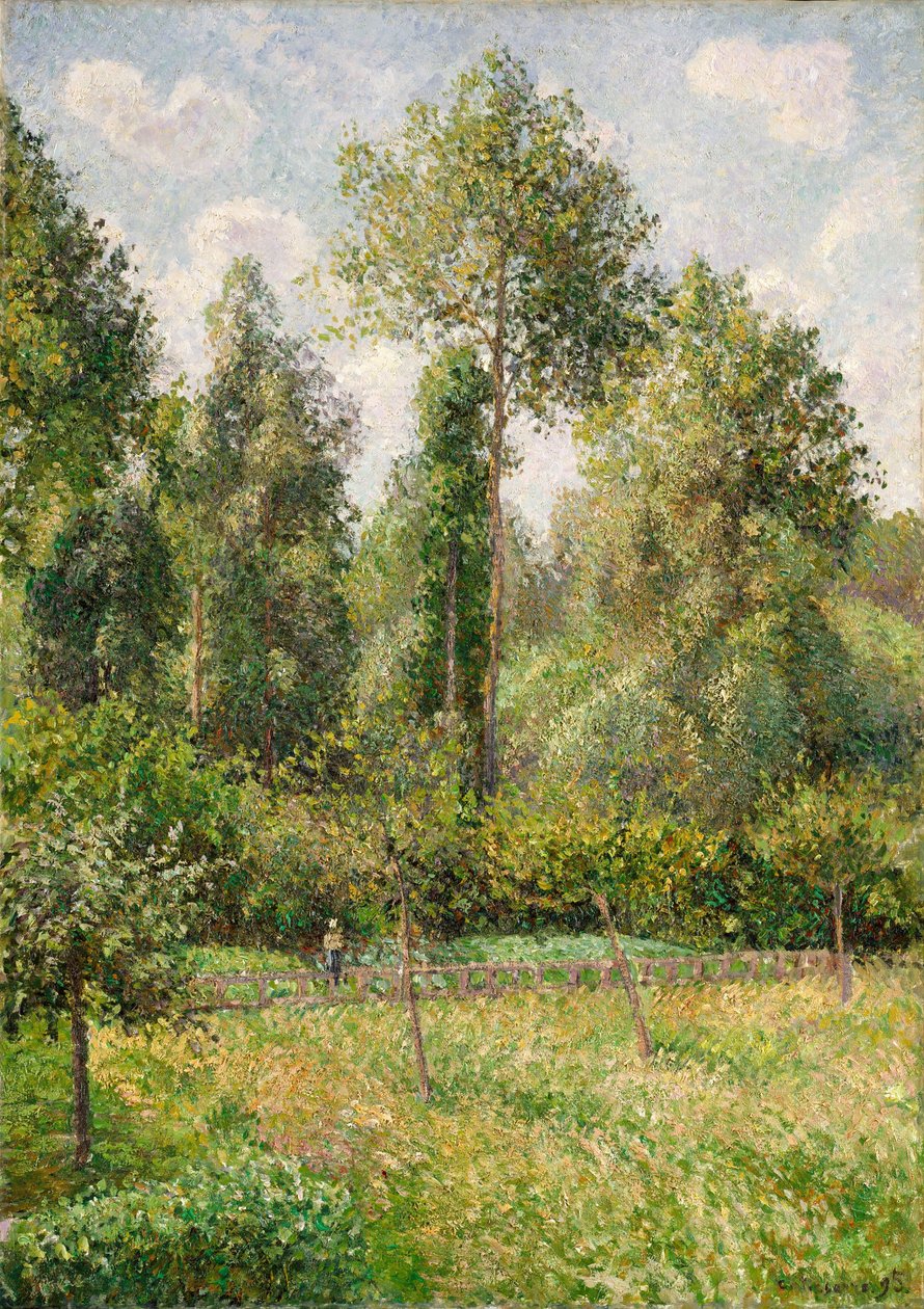 Topole, Éragny autorstwa Camille Jacob Pissarro