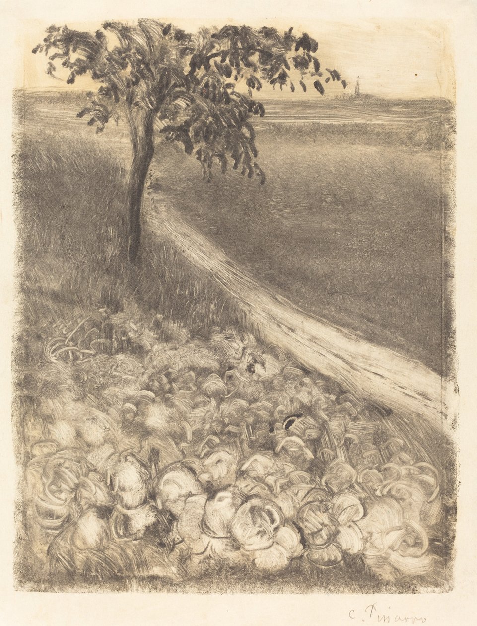 Droga przez pole kapusty, ok. godz. 1880. autorstwa Camille Pissarro