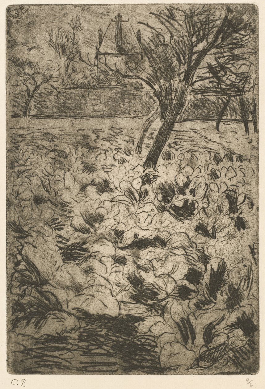 Pole Kapusty Pole Kapusty, ok. 1930 r. 1880. autorstwa Camille Pissarro
