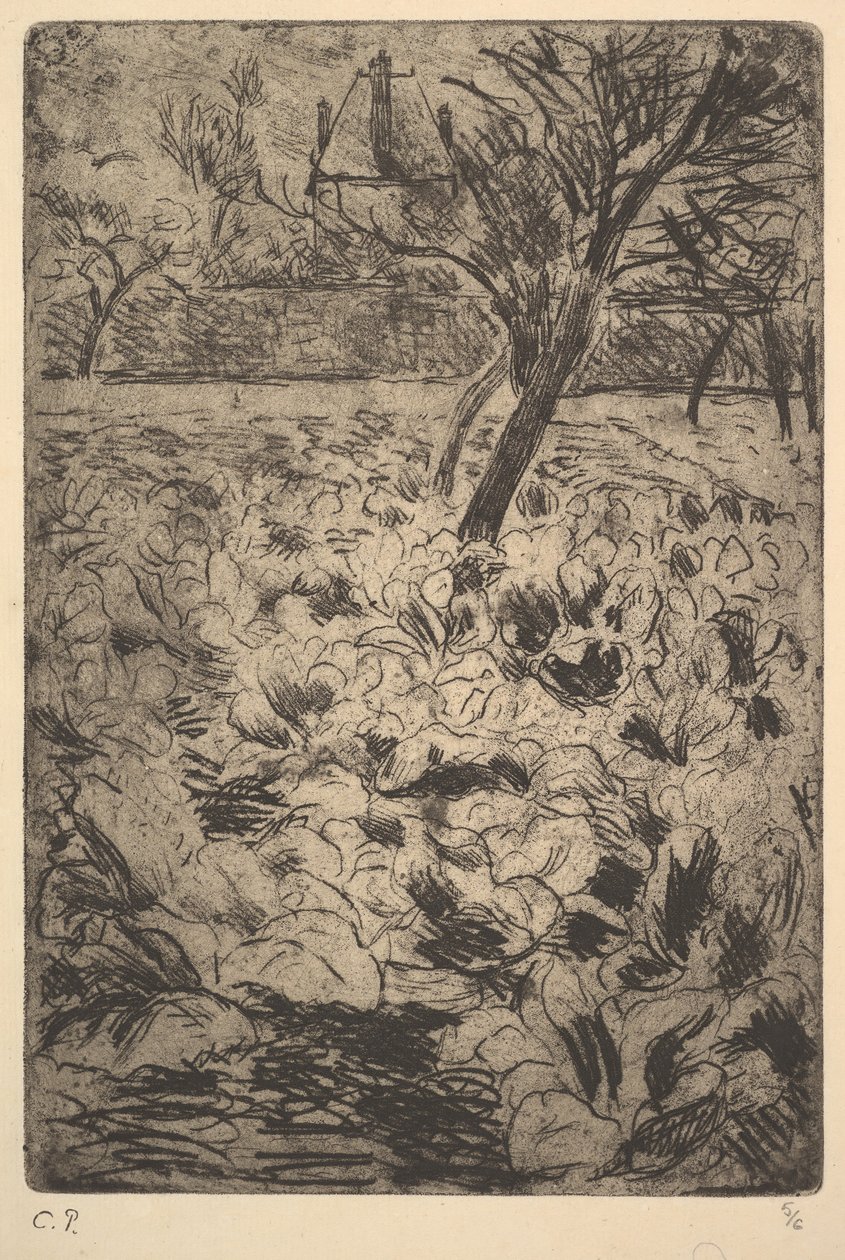 Pole Kapusty, ca. 1880. autorstwa Camille Jacob Pissarro