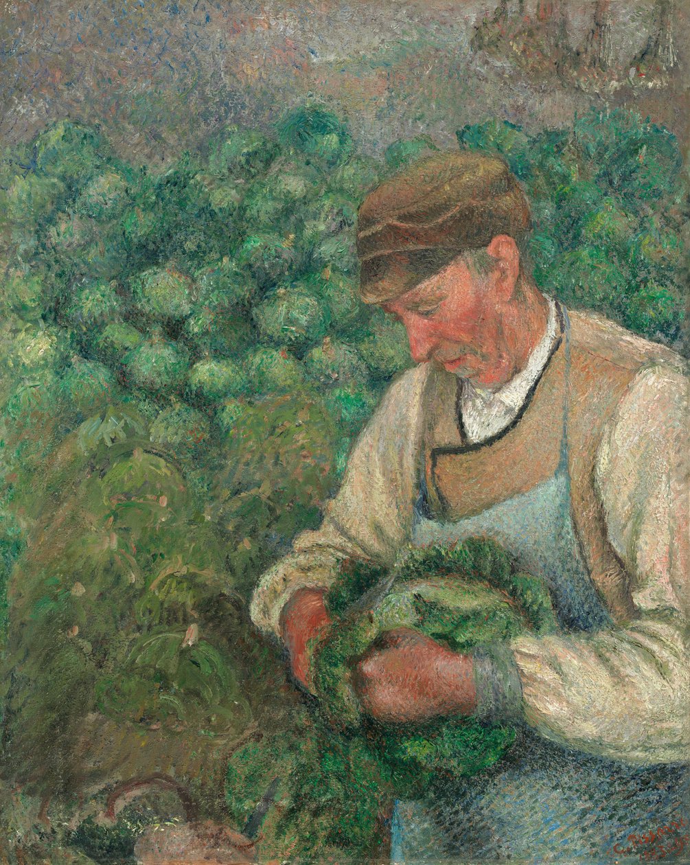 Ogrodnik - Stary Chłop z Kapustą, 1883-1895. autorstwa Camille Pissarro
