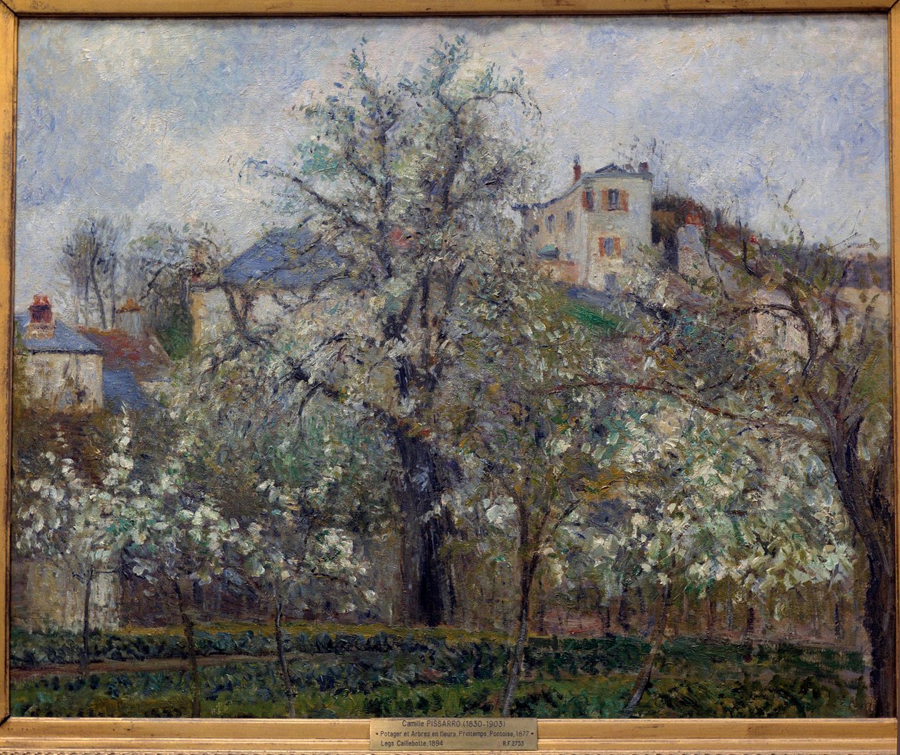 Ogród warzywny i drzewa kwitnące wiosną w Pontoise (kwitnące śliwki) Obraz Camille Pissarro (1830-1903). 1877. wym. 0,65x0,81m. Paryż, Muzeum Orsay autorstwa Camille Jacob Pissarro