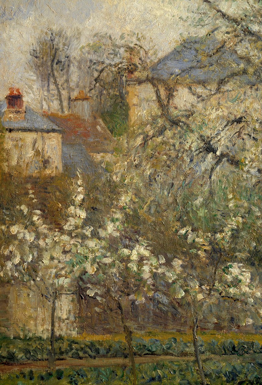 Ogród warzywny i drzewa kwitnące wiosną w Pontoise autorstwa Camille Jacob Pissarro