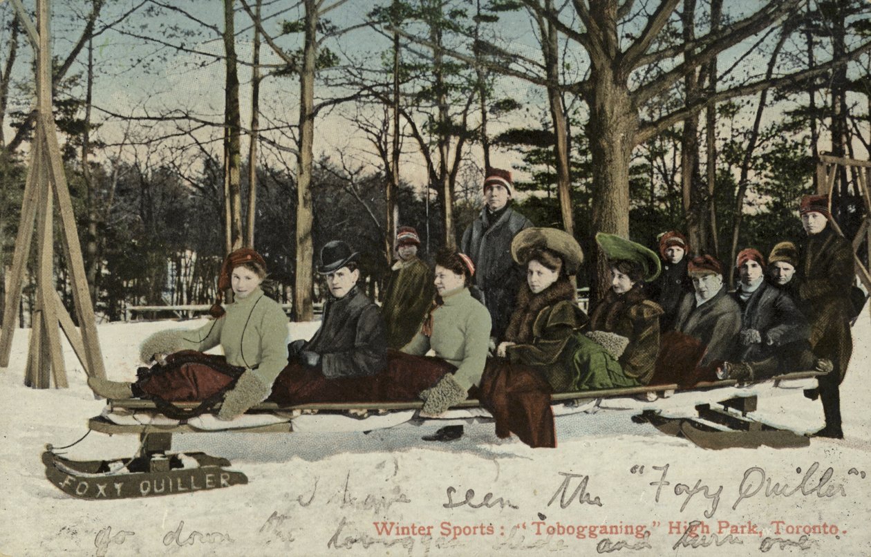 Saneczkarstwo, High Park, Toronto, Kanada (kolorowe zdjęcie) autorstwa Canadian Photographer