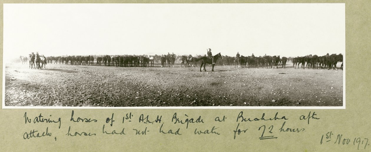 Pojenie koni I A.L.H. Brygada w Beer-Szebie po ataku, konie nie miały wody przez 72 godziny, 1 listopada 1917 autorstwa Capt. Arthur Rhodes