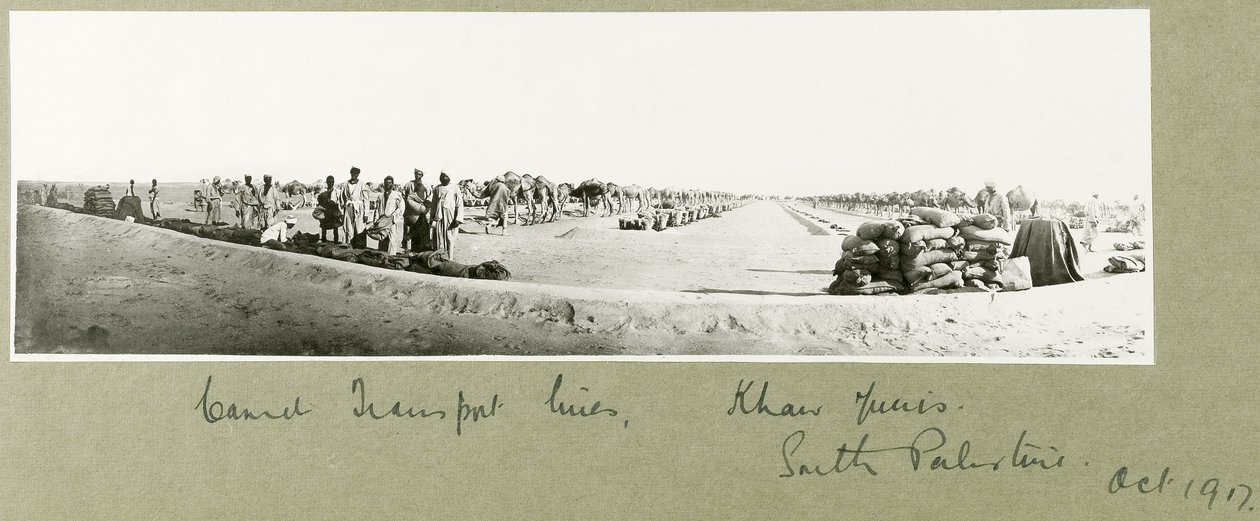 Linie transportowe wielbłądów, Khan Yunis, październik 1917 autorstwa Capt. Arthur Rhodes