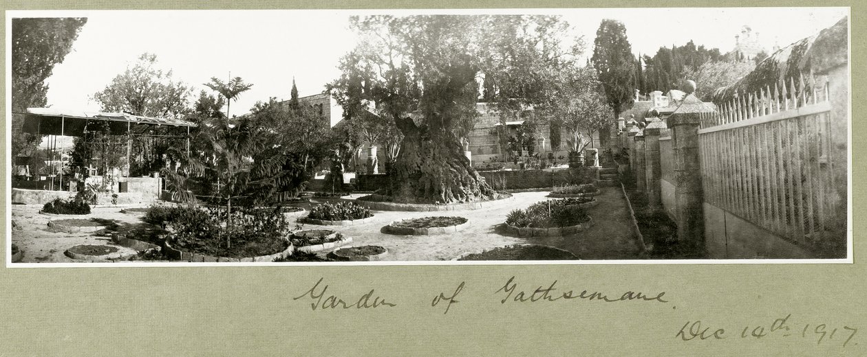 Ogród Getsemani, 14 grudnia 1917 autorstwa Capt. Arthur Rhodes