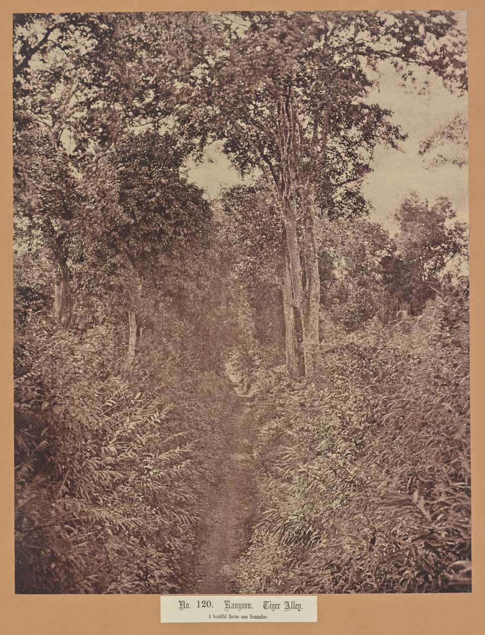 Nr 120. Rangun. Tiger Alley autorstwa Capt. Linnaeus Tripe