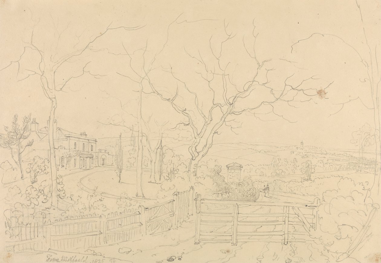 Z Milfielda autorstwa Capt. Thomas Hastings