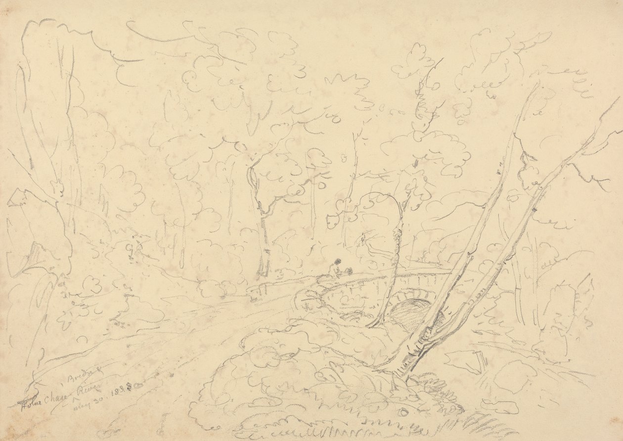 Most i rzeka Holne Chase, 30 maja 1833 r autorstwa Capt. Thomas Hastings