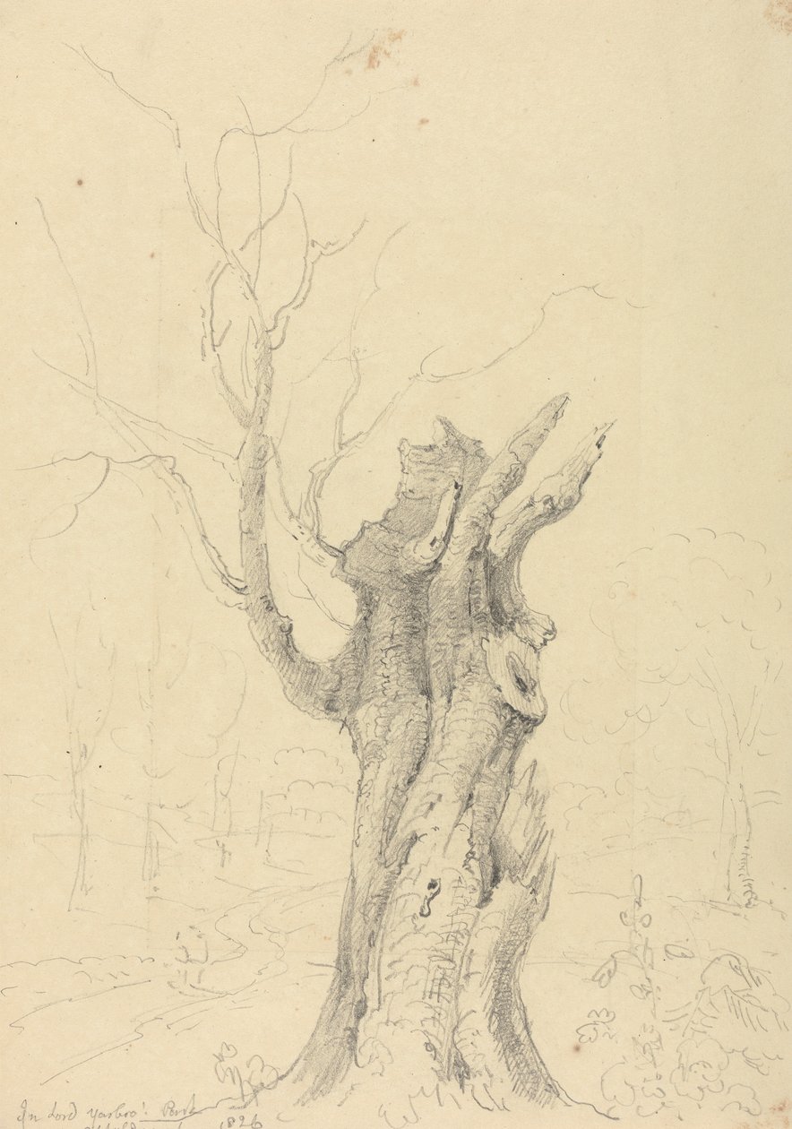 W parku Lorda Yarborough, Appuldurcombe, Isle of Wight autorstwa Capt. Thomas Hastings