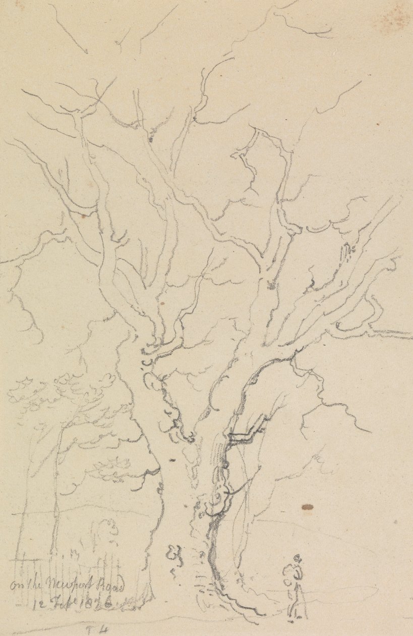 Na Newport Road, 12 lutego 1826 autorstwa Capt. Thomas Hastings
