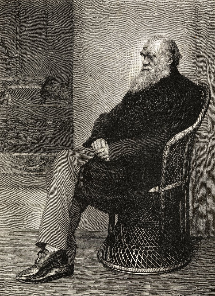 Karol Darwin, ilustracja z „Życia i listów Karola Darwina”, tom II, wydanej w 1887 r. autorstwa Captain L. Darwin