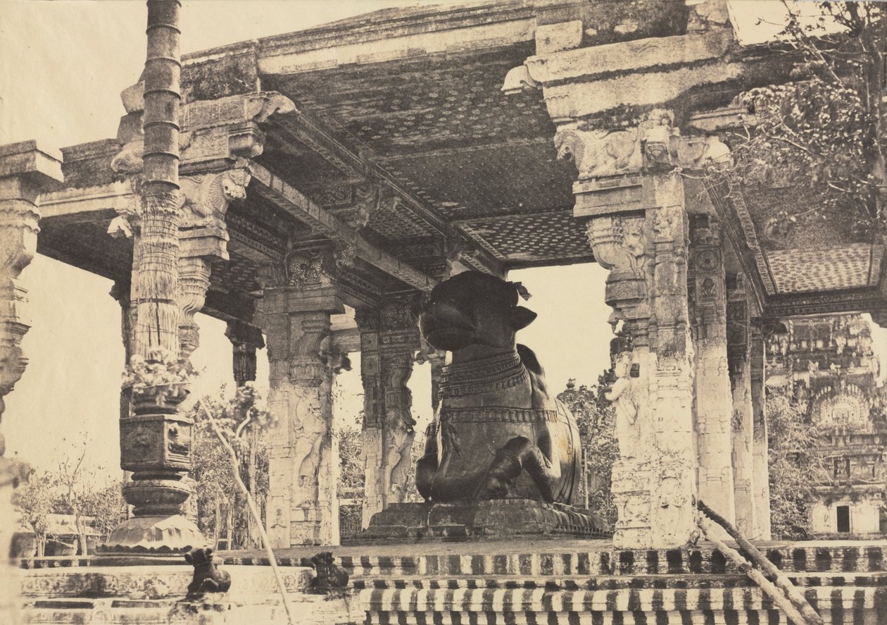 Wielka Pagoda, Wielki Byk, Widok z przodu, Tanjore, Indie Świątynia Rajarajesvara, 1857. autorstwa Captain Linnaeus Tripe