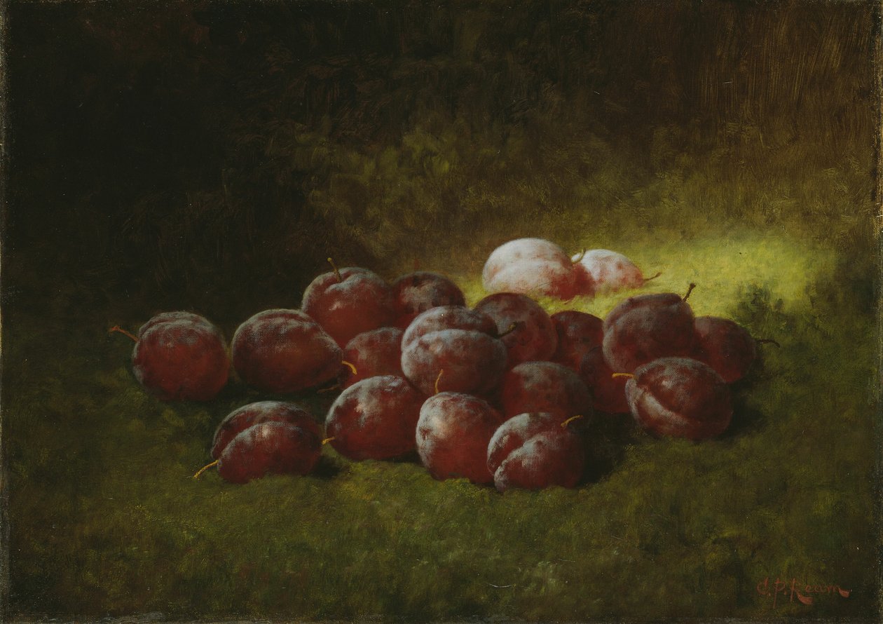 Fioletowe śliwki, 1895. autorstwa Carducius Plantagenet Ream