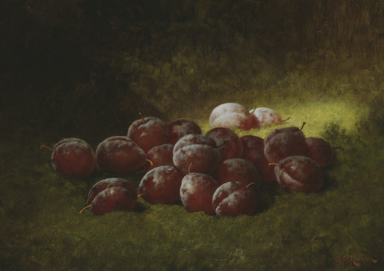 Fioletowe śliwki, 1895 autorstwa Carducius Plantagenet Ream