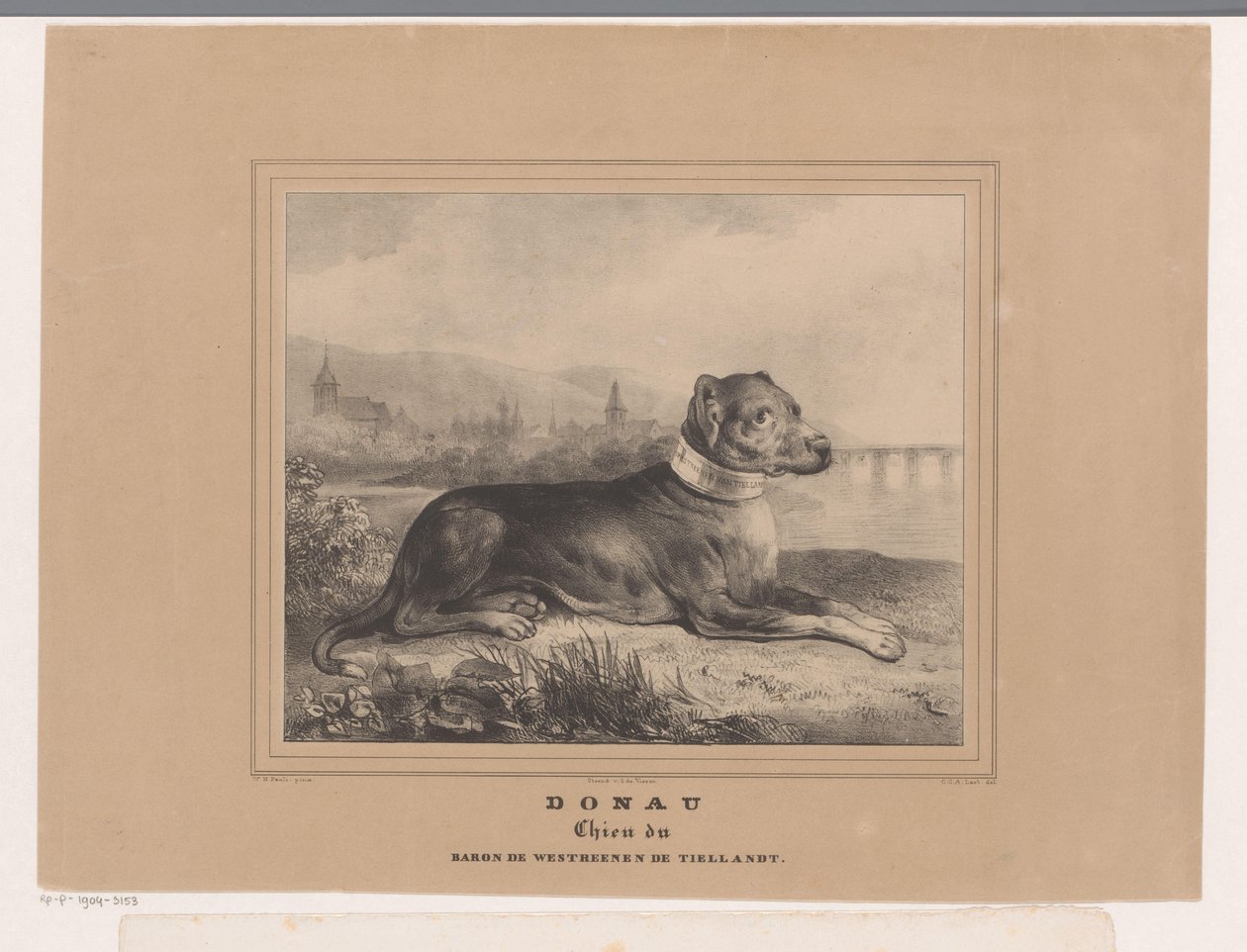 Pies Dunaj Dunaj. Chien du Baron de Westreenen de Tiellandt (tytuł na obiekcie) autorstwa Carel Christiaan Antony Last