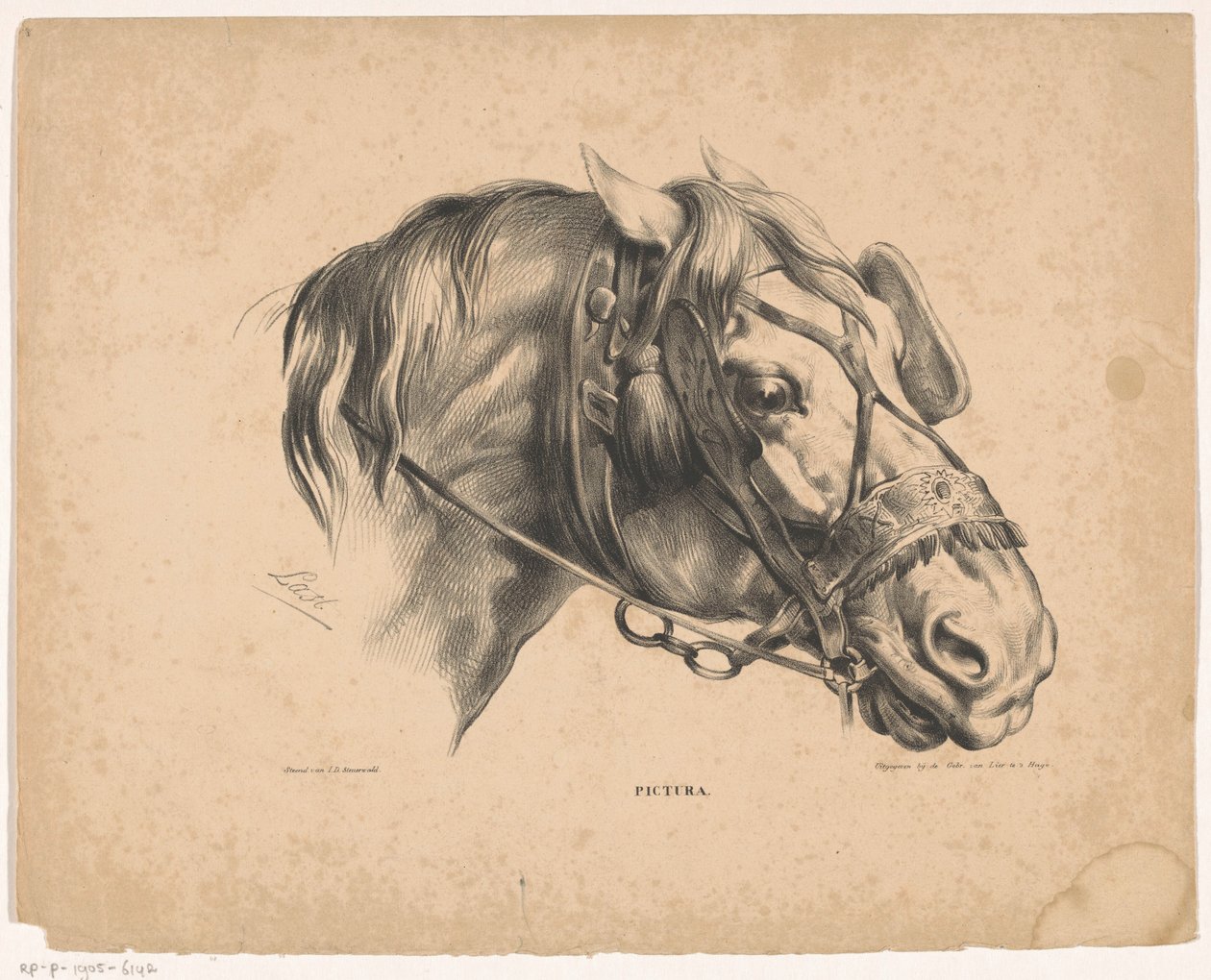 Głowa konia z uzdę Pictura (tytuł serii na obiekcie) autorstwa Carel Christiaan Antony Last