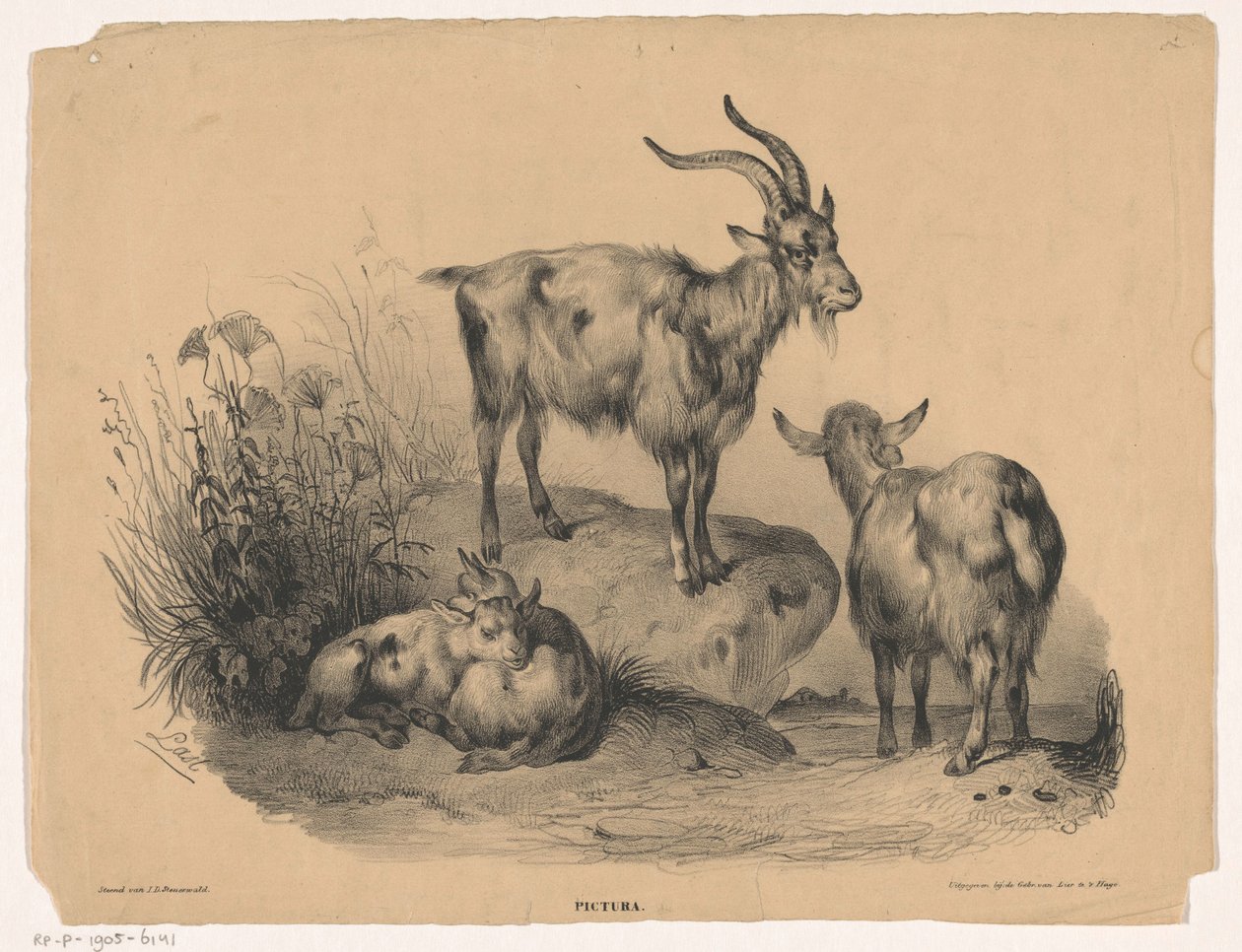 Cztery kozy Pictura (tytuł serii na obiekcie) autorstwa Carel Christiaan Antony Last