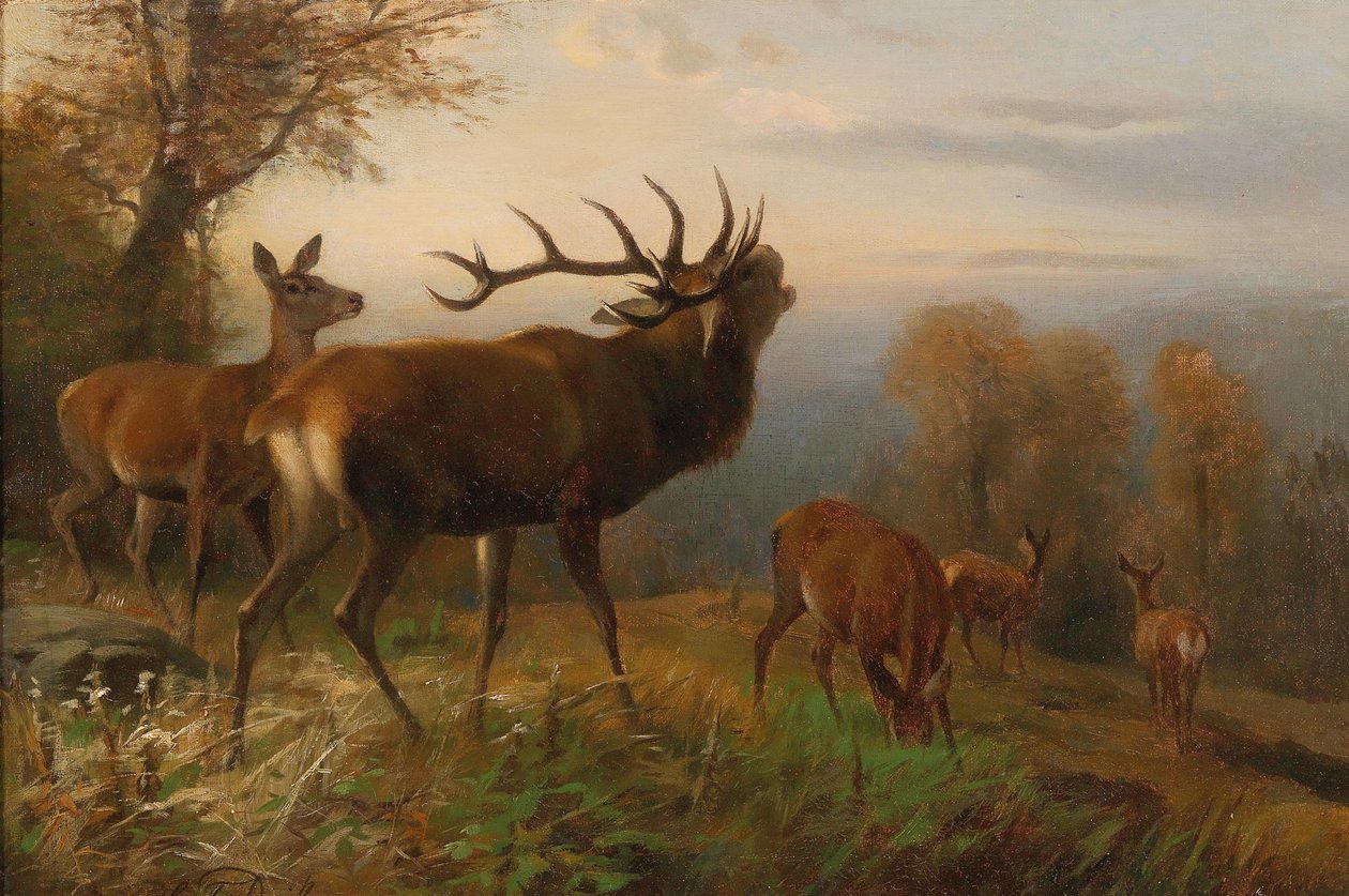 Stado jeleni autorstwa Carl Friedrich Deiker