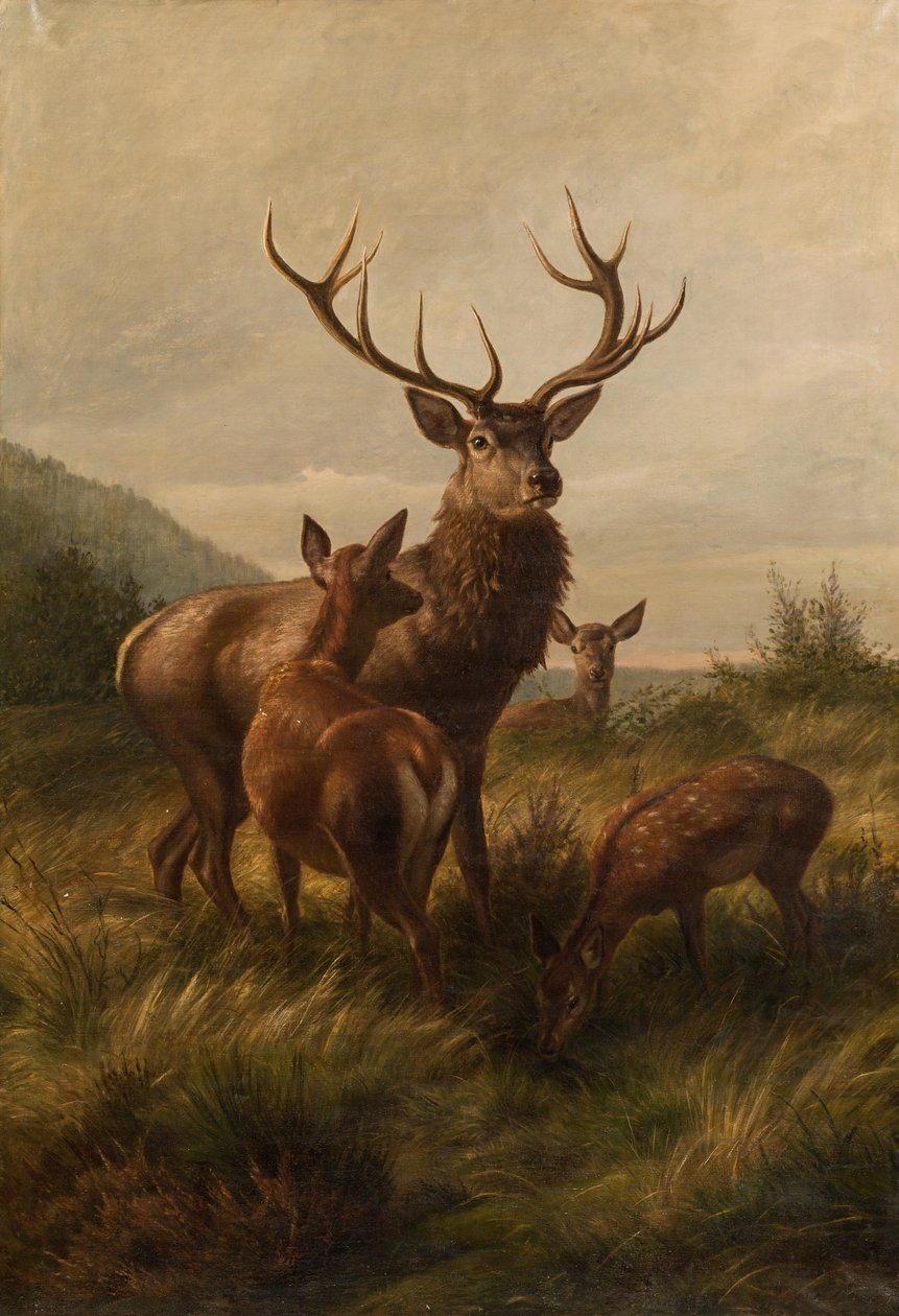 Dwunastobłotnik z łaniami autorstwa Carl Friedrich Deiker