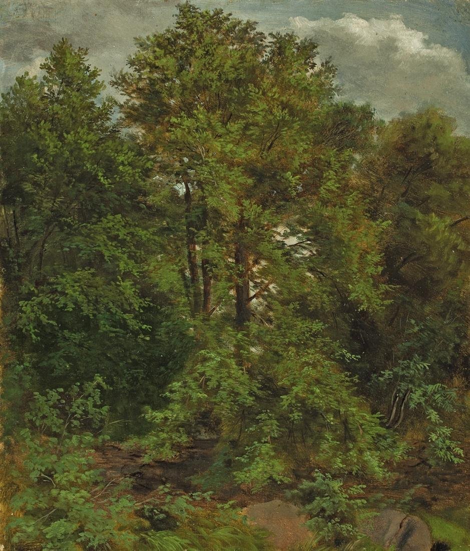Motyw z wyspy Pillnitz Elbe autorstwa Carl Gustav Carus