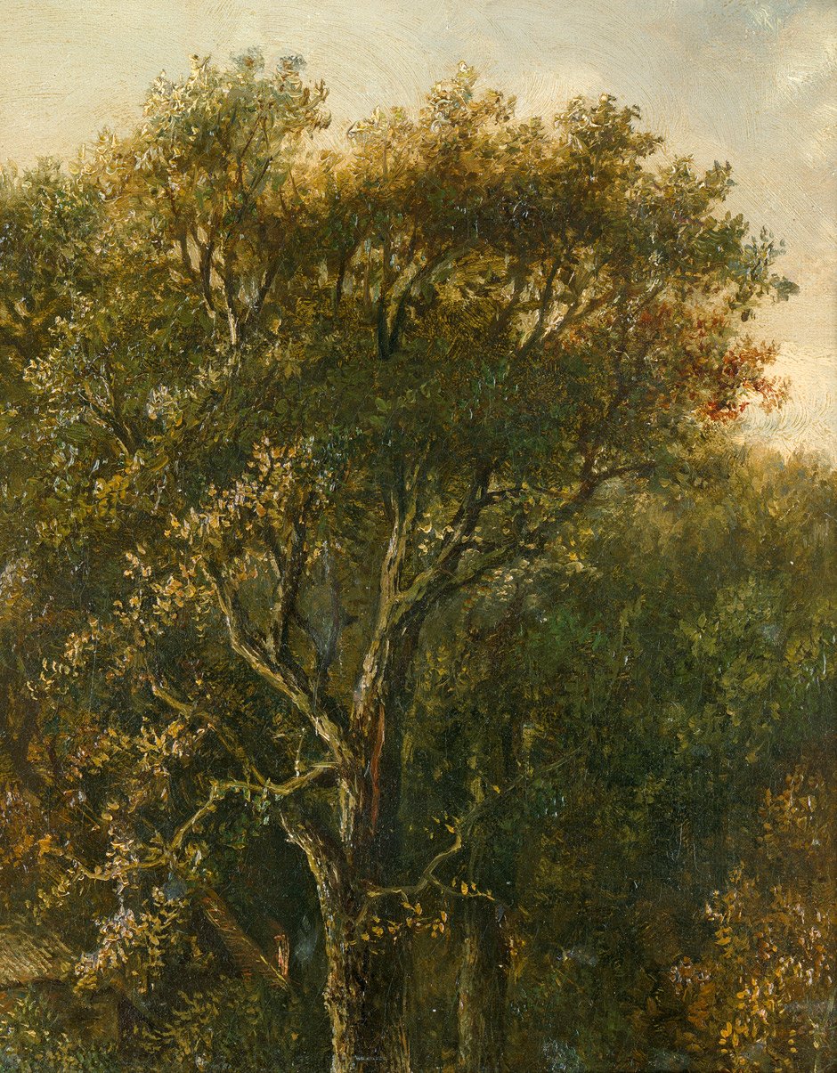 Stiuk leśny z dębem autorstwa Carl Gustav Carus
