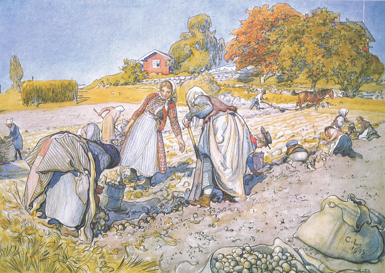 Dzieci napełniły wiadra i kosze ziemniakami autorstwa Carl Larsson