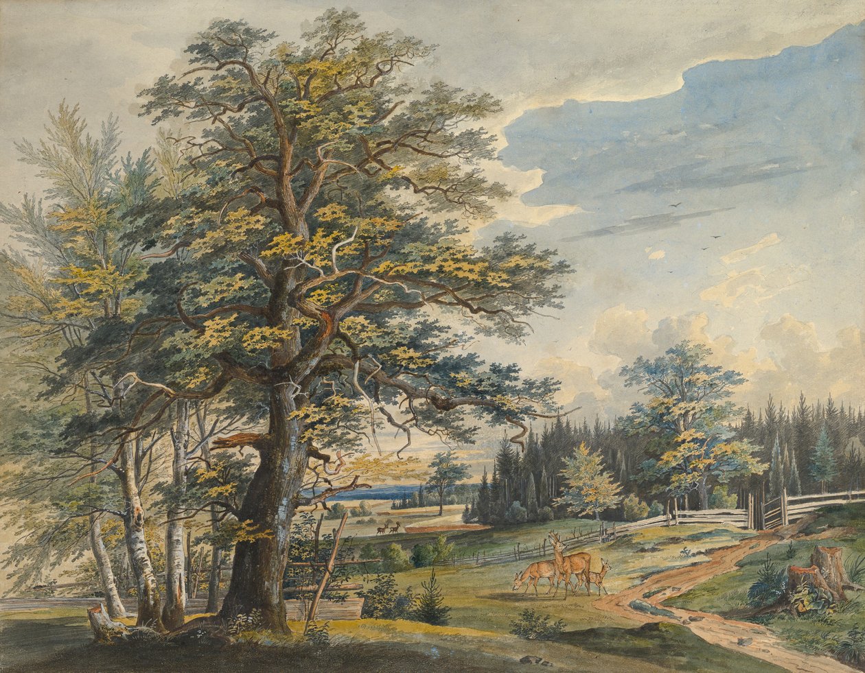 Zalesiony krajobraz z jeleniem, 1800-1877. autorstwa Carl August Lebschee