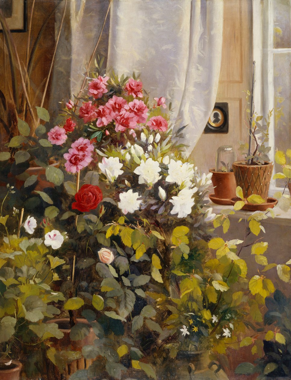 Azalia, pelargonie, róże i inne rośliny doniczkowe przy oknie autorstwa Carl Christian Carlsen