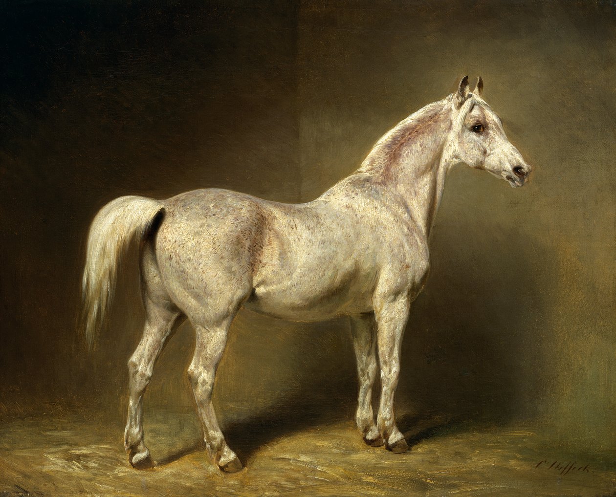 „Beatrice”, biały arabski koń wierzchowy Helmutha Grafa von Moltke, 1855 autorstwa Carl Constantin Steffeck