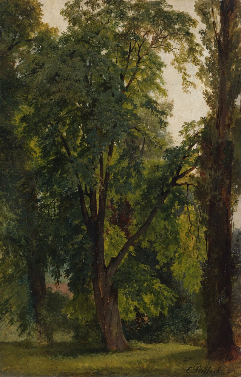 Drewno w Königs Wusterhausen (olej na płótnie ułożony na tekturze) autorstwa Carl Constantin Steffeck