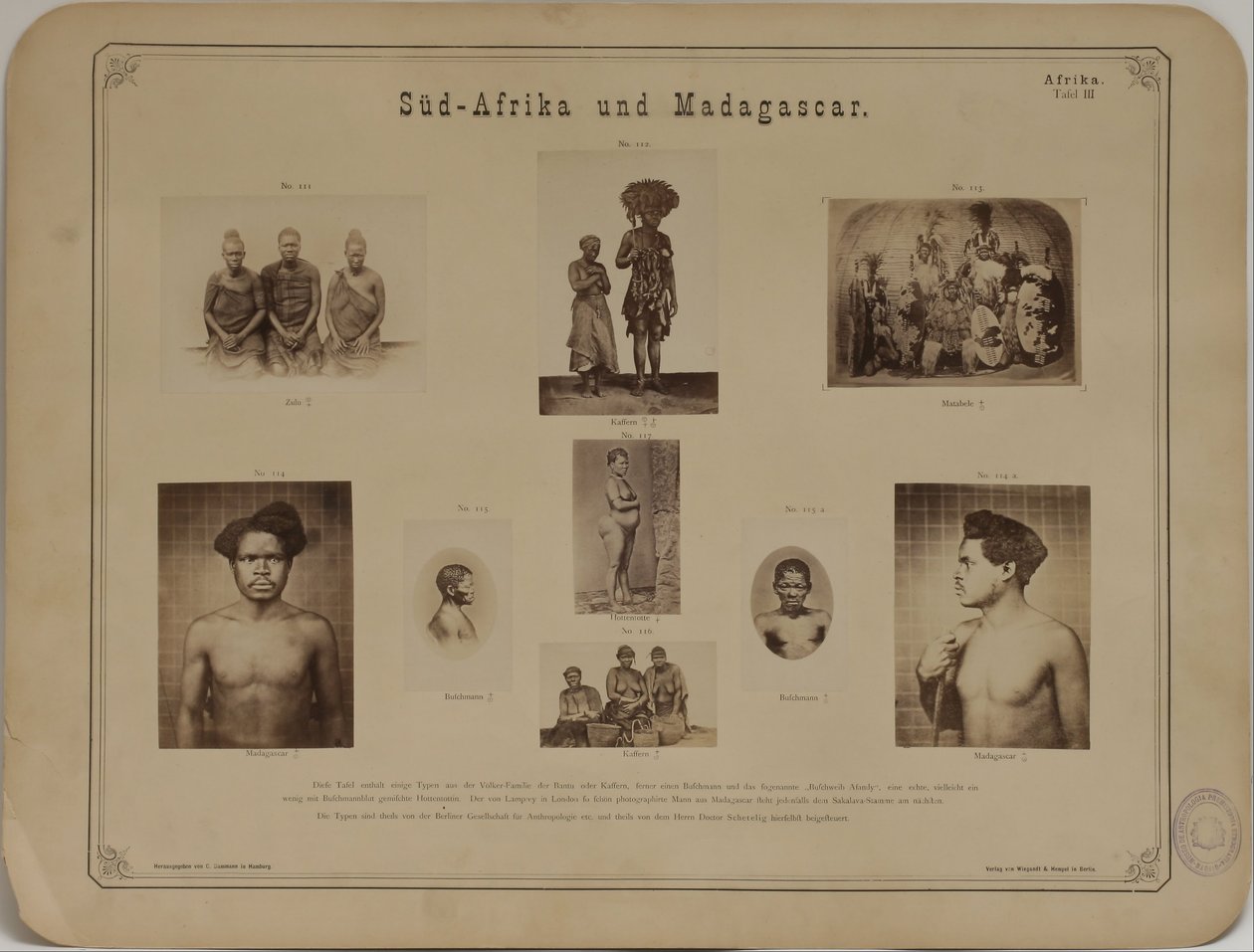 Album fotograficzny o antropologii - etnologii autorstwa Carl Dammann