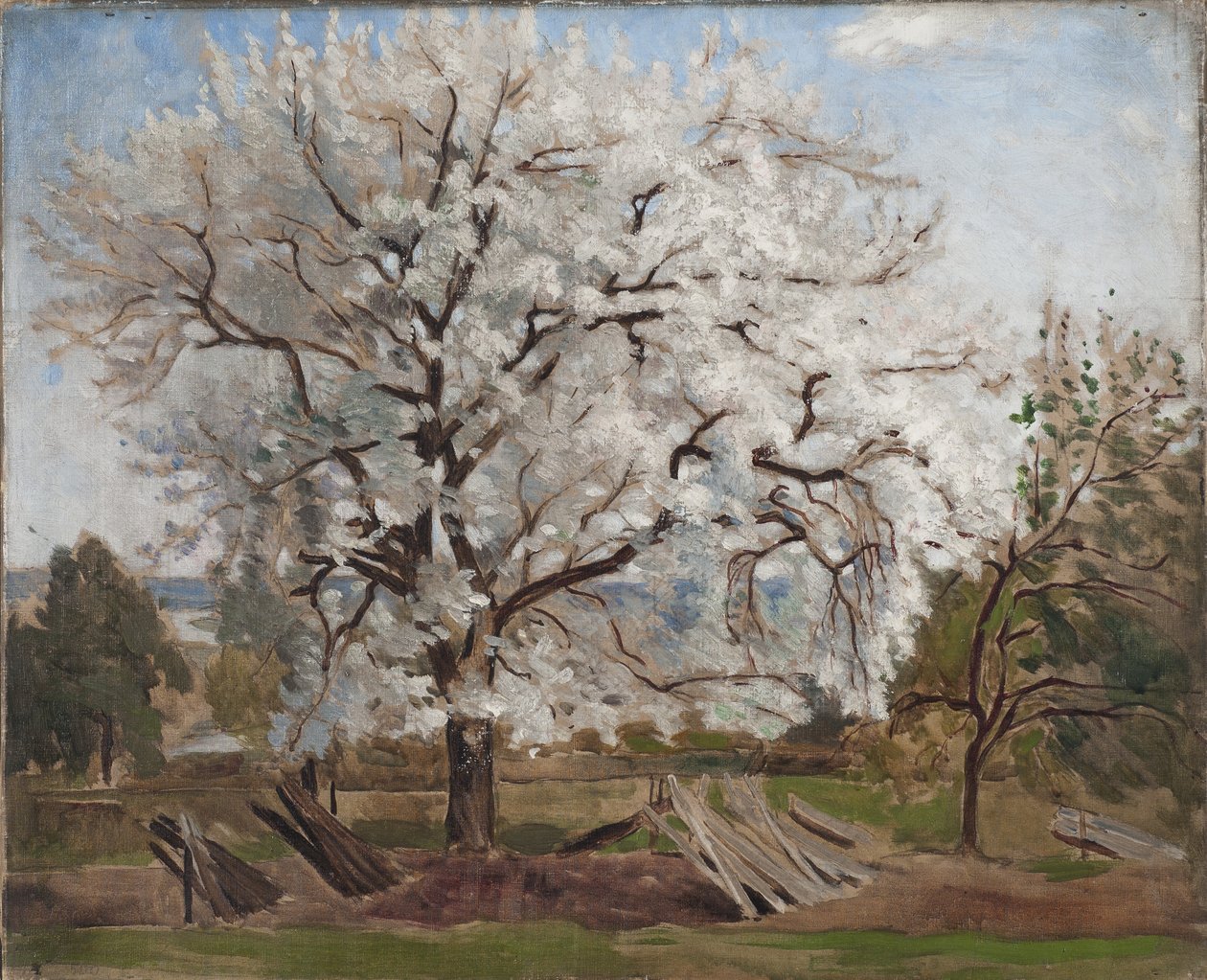 Kwitnąca jabłoń, 1877 autorstwa Carl Fredrik Hill