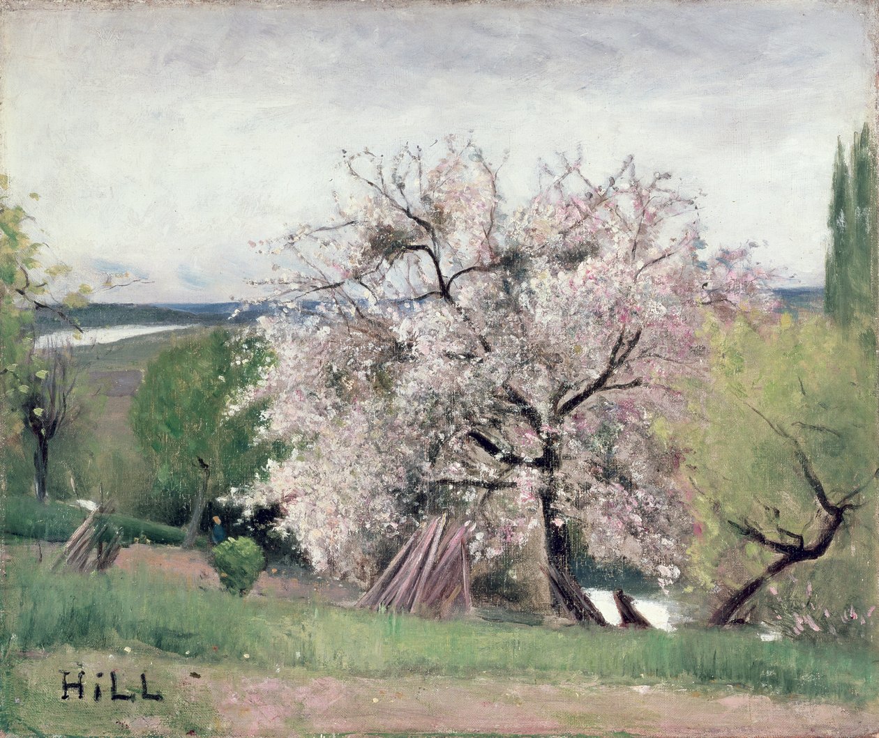 Drzewo owocowe w kwiatach, Bois-le-Roi autorstwa Carl Fredrik Hill