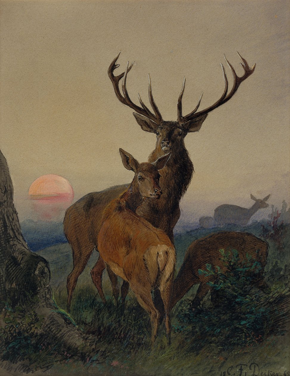 Jeleń z jeleniem w zalesionym krajobrazie o zachodzie słońca autorstwa Carl Friedrich Deiker