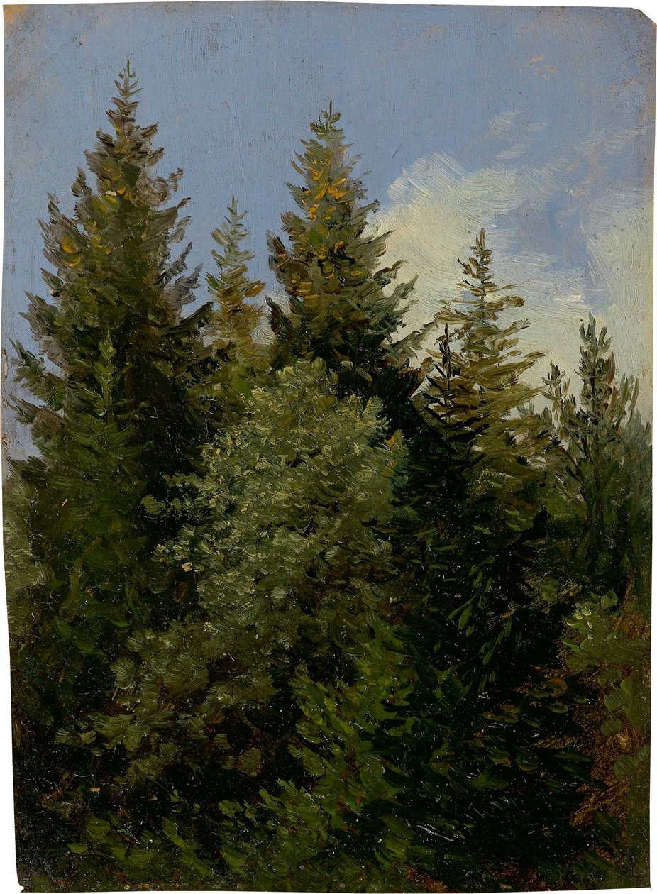 Jodły autorstwa Carl Gustav Carus
