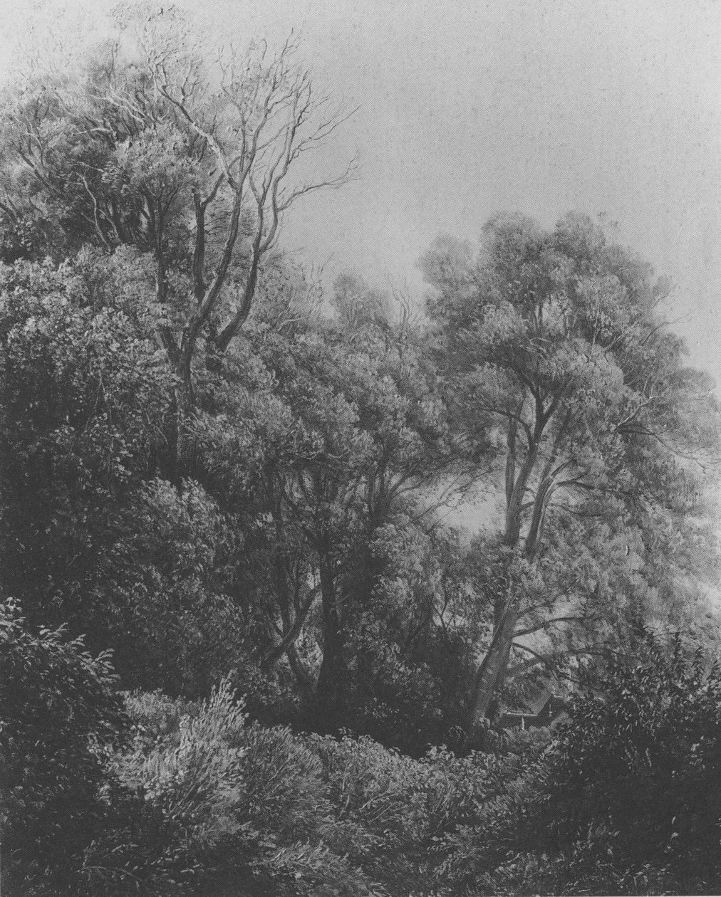 Pillnitz na wyspie Elbie Carl Gustav Carus 1840 autorstwa Carl Gustav Carus