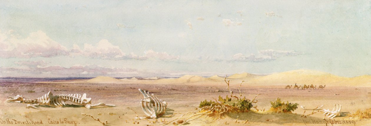 Piaskowe wzgórza na pustyni, Kair, Suez, 1859 autorstwa Carl Haag