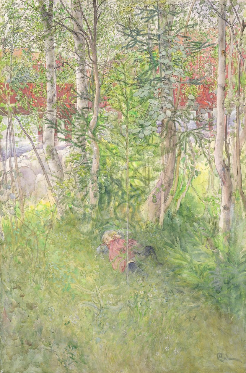 Drzemka na świeżym powietrzu autorstwa Carl Larsson