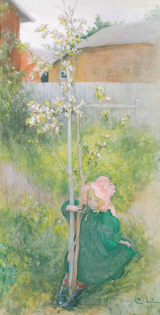 Kwiat jabłoni, 1894 autorstwa Carl Larsson