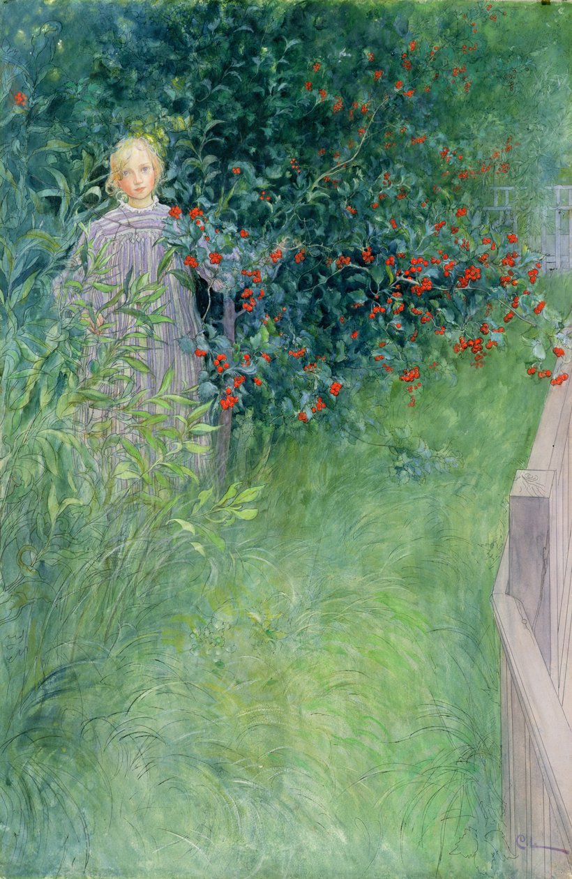 W żywopłocie głogu autorstwa Carl Larsson